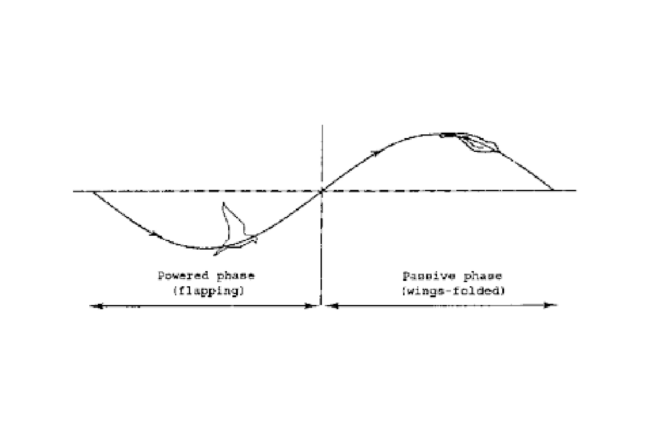 The roller-coaster waveform flight of the finch.